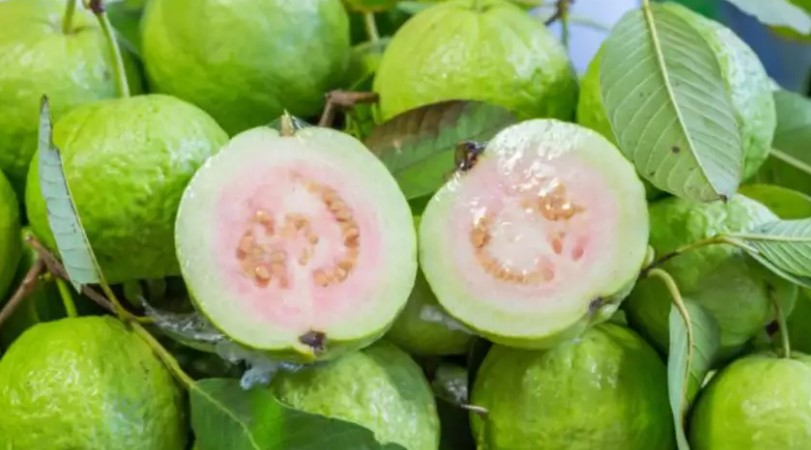 A guava is a small, sweet tropical fruit.