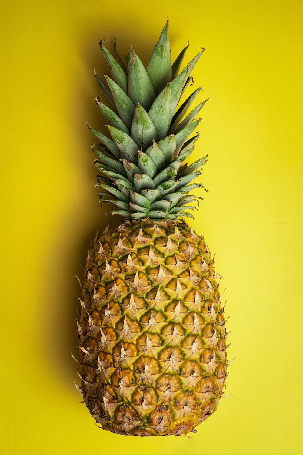 Pineapple (Ananas comosus) is an incredibly delicious, healthy tropical fruit.